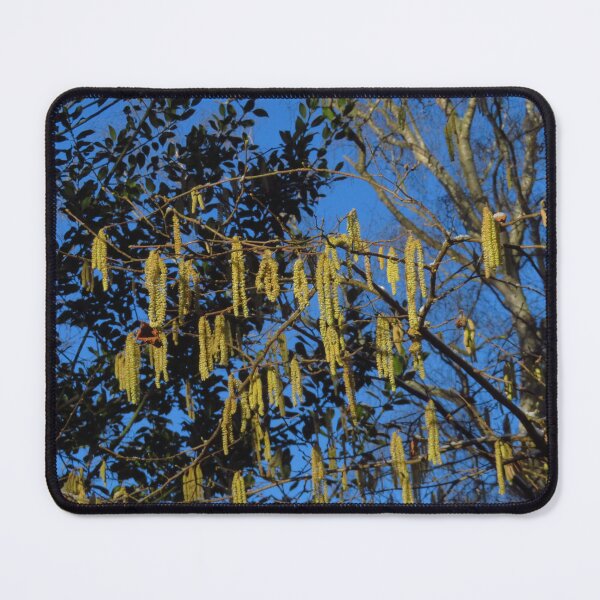 Item preview, Silver Birch Catkins designed and sold by wiggyofipswich.