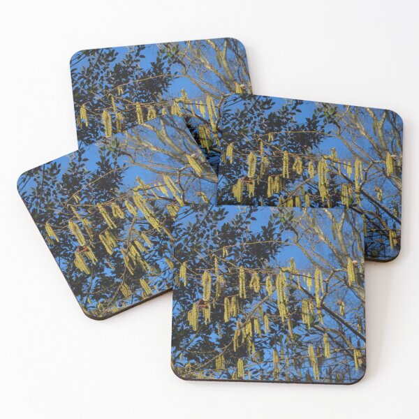 Item preview, Silver Birch Catkins designed and sold by wiggyofipswich.