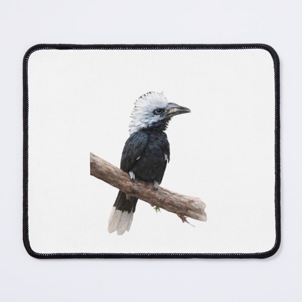 Item preview, White-crested Hornbill (Tropicranus albocristatus) designed and sold by HOMETOWN86.