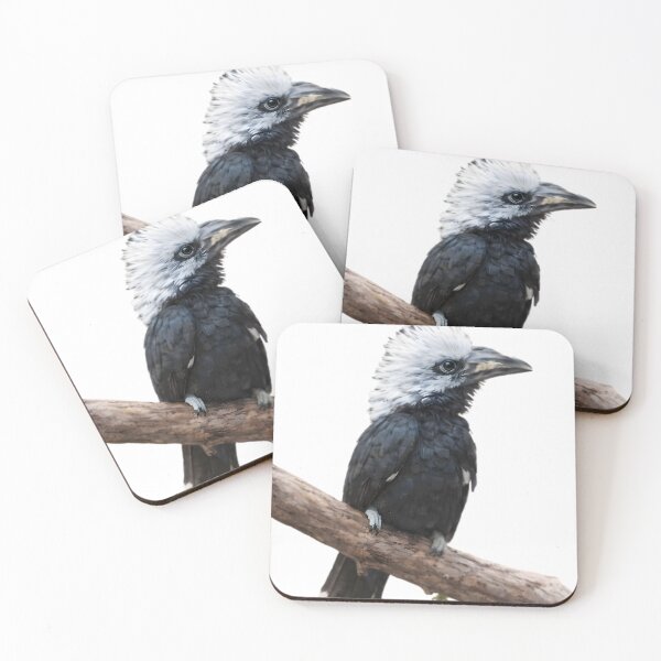 Item preview, White-crested Hornbill (Tropicranus albocristatus) designed and sold by HOMETOWN86.