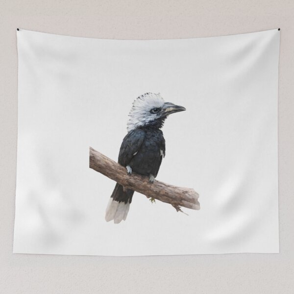 Item preview, White-crested Hornbill (Tropicranus albocristatus) designed and sold by HOMETOWN86.