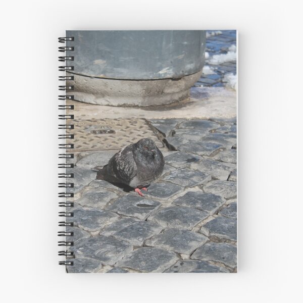 Artikelvorschau, wütend pidgeon auf dem Boden entworfen und verkauft von psie.