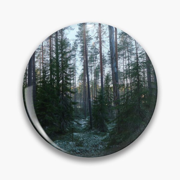 Item preview, Spruce underground. Seitseminen 2025 designed and sold by Jouko Lehto Photography.