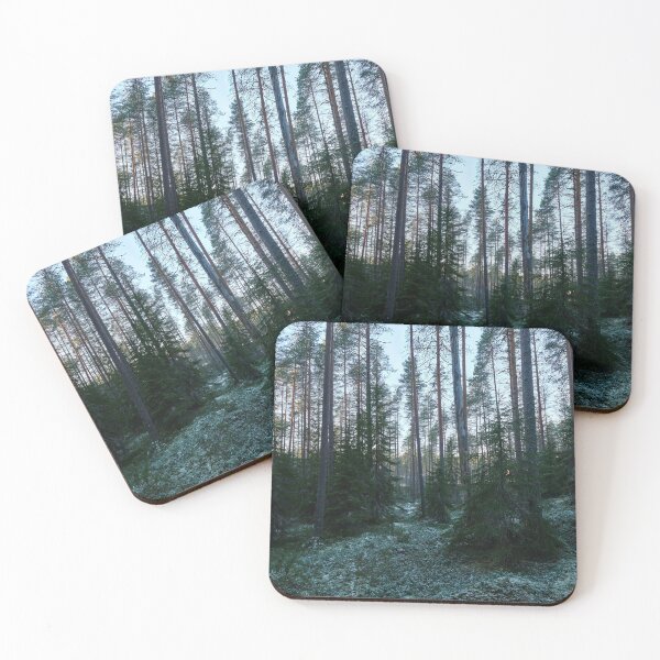 Item preview, Spruce underground. Seitseminen 2025 designed and sold by Jouko Lehto Photography.