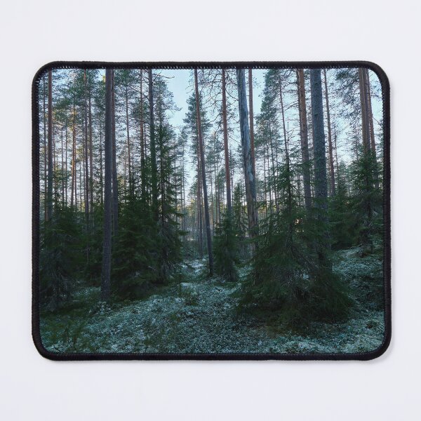 Item preview, Spruce underground. Seitseminen 2025 designed and sold by Jouko Lehto Photography.