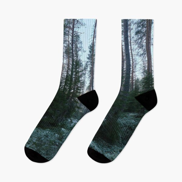 Item preview, Spruce underground. Seitseminen 2025 designed and sold by Jouko Lehto Photography.