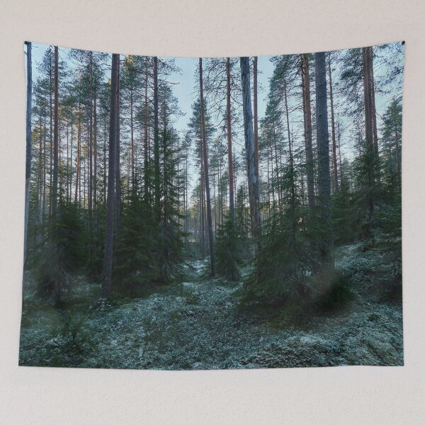 Item preview, Spruce underground. Seitseminen 2025 designed and sold by Jouko Lehto Photography.