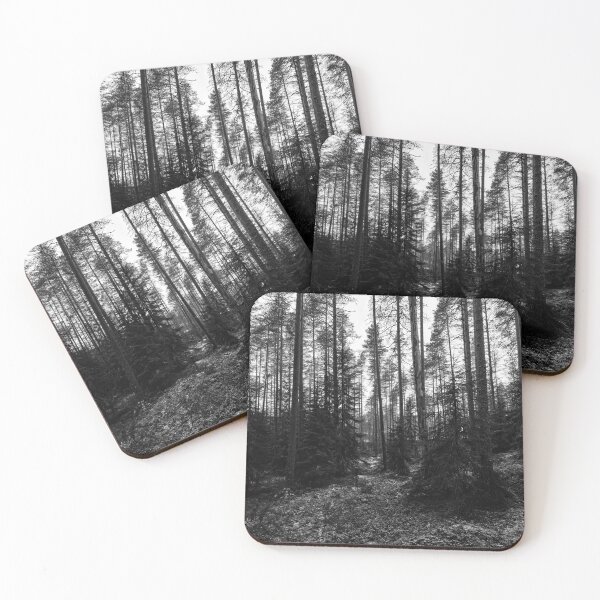 Item preview, Spruce underground. Seitseminen 2025 bw designed and sold by Jouko Lehto Photography.