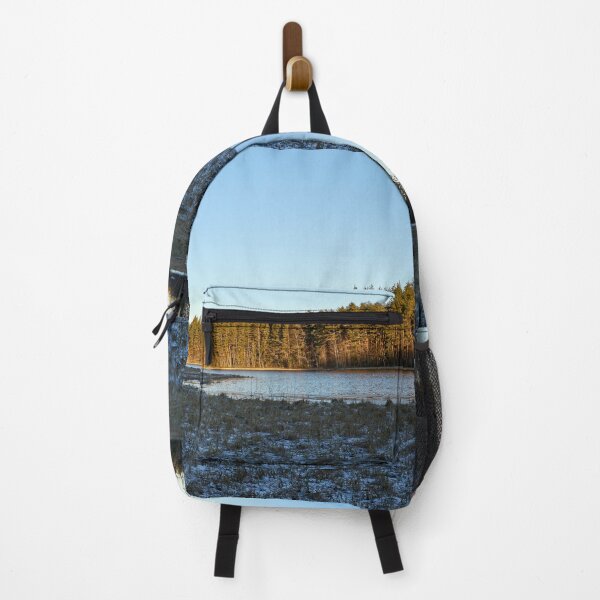Item preview, Nearly frozen Ahvenlammi. Seitseminen 2025 designed and sold by Jouko Lehto Photography.