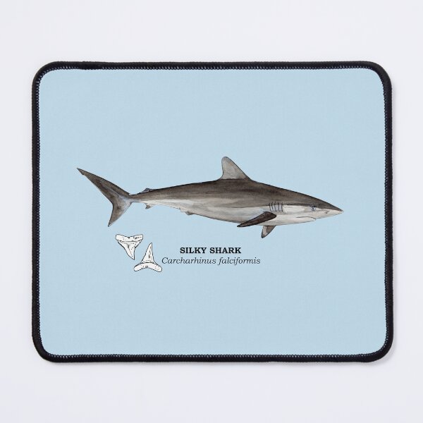 Item preview, SILKY SHARK-Carcharhinus falciformis (name and teeth) designed and sold by BEATRIZ ABAITUA.