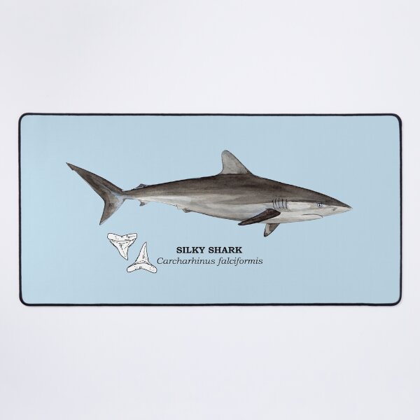 Item preview, SILKY SHARK-Carcharhinus falciformis (name and teeth) designed and sold by BEATRIZ ABAITUA.