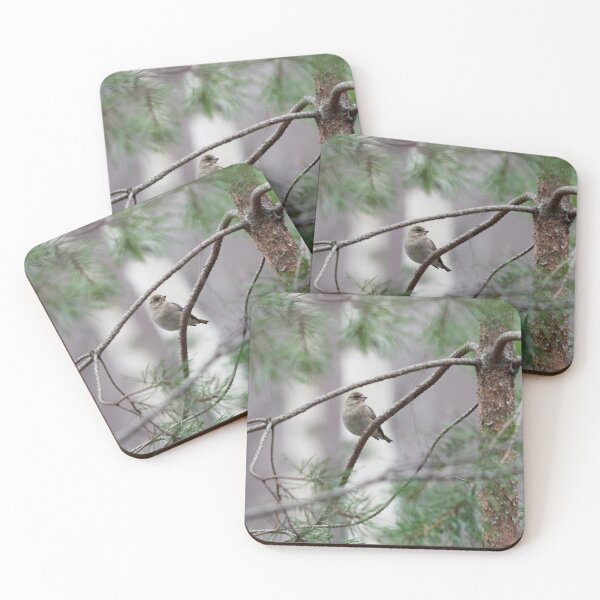 Item preview, A windy day. Greenfinch designed and sold by Jouko Lehto Photography.