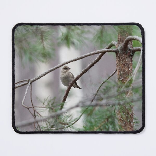 Item preview, A windy day. Greenfinch designed and sold by Jouko Lehto Photography.