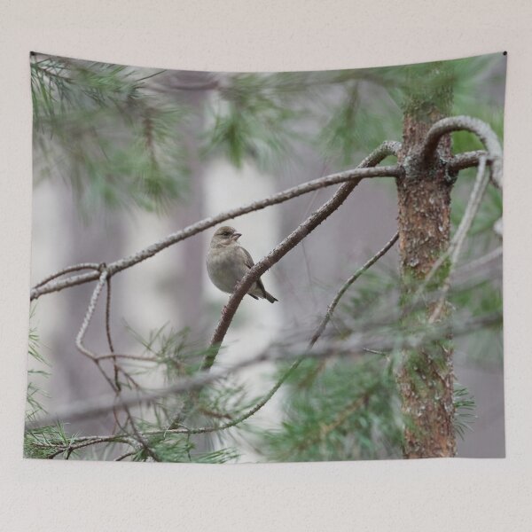 Item preview, A windy day. Greenfinch designed and sold by Jouko Lehto Photography.