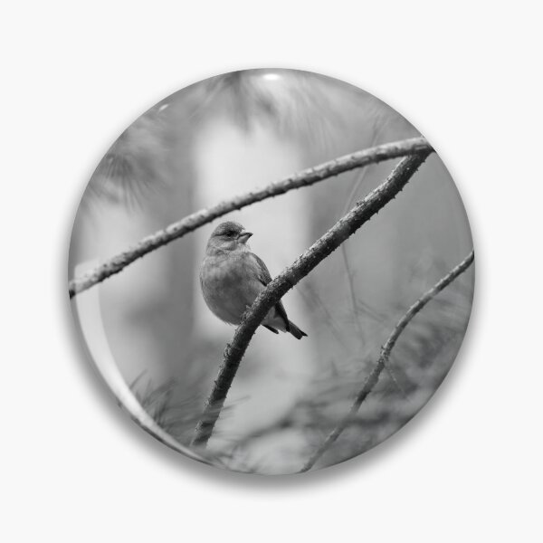 Item preview, A windy day. Greenfinch bw designed and sold by Jouko Lehto Photography.