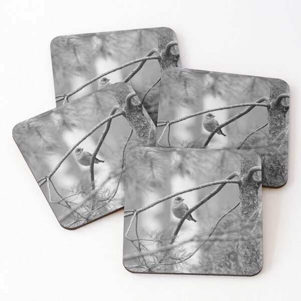Item preview, A windy day. Greenfinch bw designed and sold by Jouko Lehto Photography.