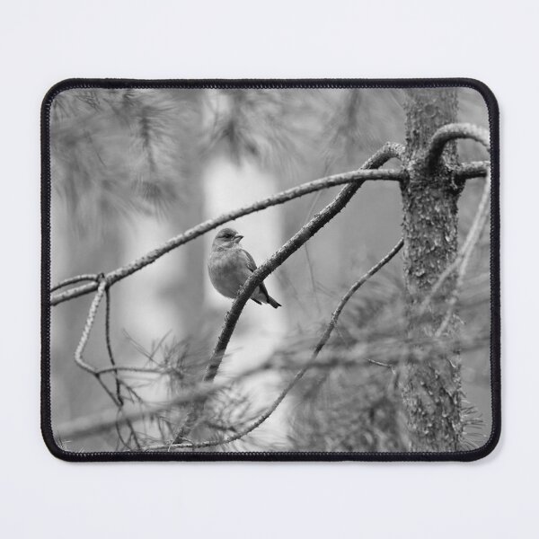 Item preview, A windy day. Greenfinch bw designed and sold by Jouko Lehto Photography.