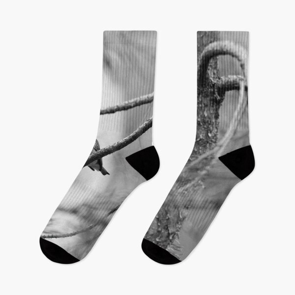 Item preview, A windy day. Greenfinch bw designed and sold by Jouko Lehto Photography.
