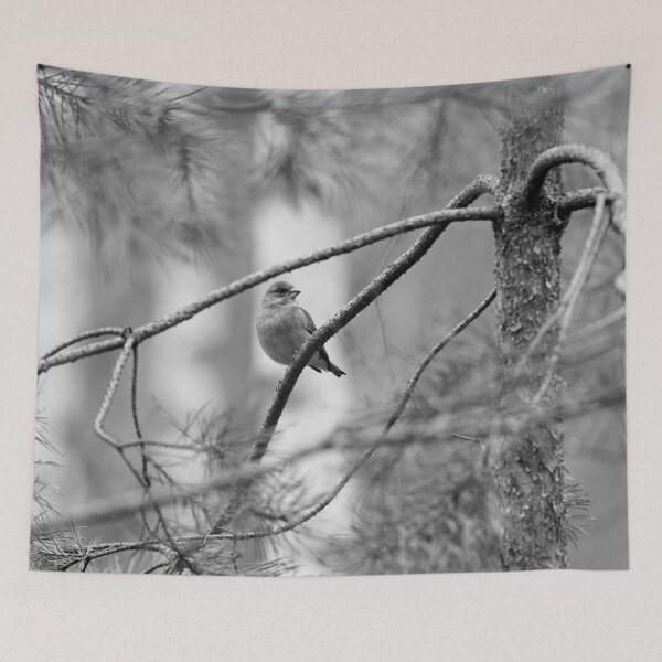 Item preview, A windy day. Greenfinch bw designed and sold by Jouko Lehto Photography.