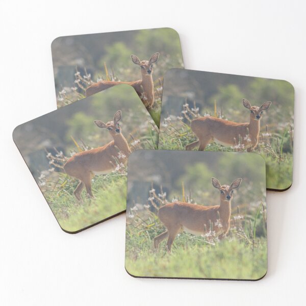 Item preview, Photograph of a Deer in the Flowers designed and sold by SecondsOnEarth.