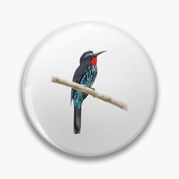 Item preview, Black Bee-eater (Merops gularis) designed and sold by HOMETOWN86.