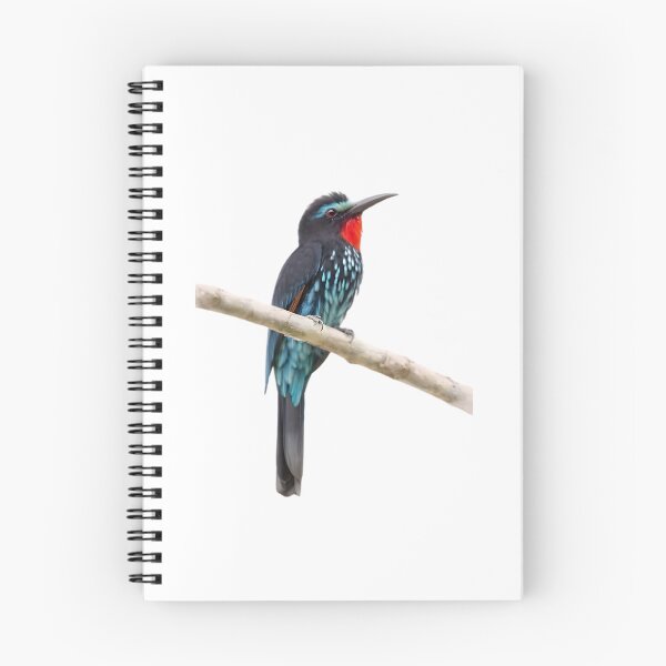 Item preview, Black Bee-eater (Merops gularis) designed and sold by HOMETOWN86.