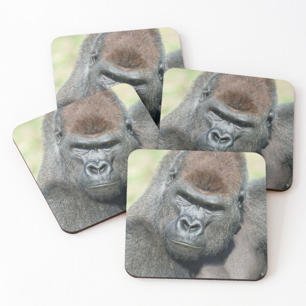 Item preview, Lope the Gorilla Channels His Father’s Stare designed and sold by rawshutterbug.