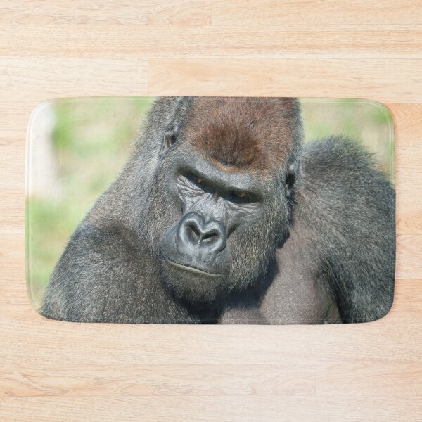 Item preview, Lope the Gorilla Channels His Father’s Stare designed and sold by rawshutterbug.