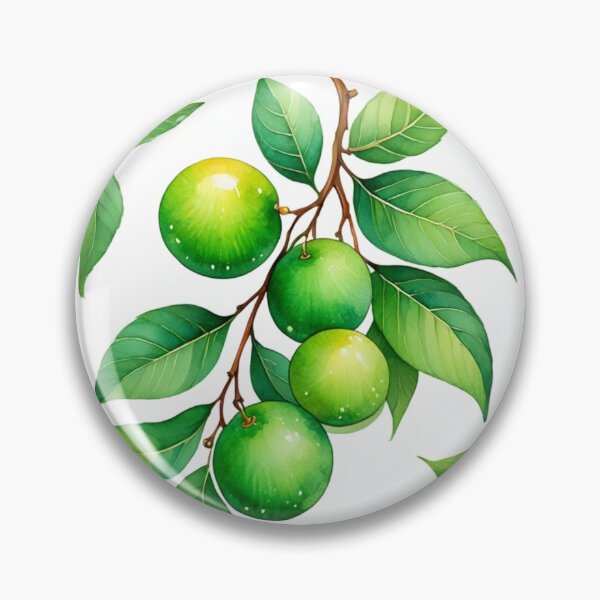 Item preview, Calamansi plant designed and sold by JIGUWORLD.