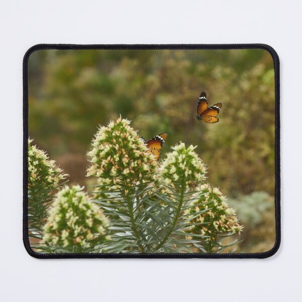 Item preview, Plain tiger butterfly on white flowers designed and sold by Imagerisium.