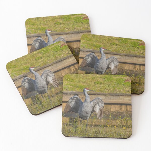 Item preview, A solo sandhill crane stands with its wings spread wide, creating a powerful and striking display designed and sold by EyezWatchin.
