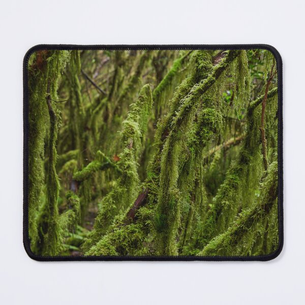 Item preview, Mossy branches in Anaga forest designed and sold by Imagerisium.