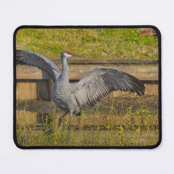 Item preview, A solo sandhill crane stands with its wings spread wide, creating a powerful and striking display. designed and sold by EyezWatchin.