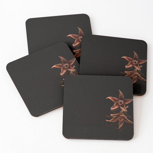 Item preview, Minimal Botanical Still Life with Seed Pod designed and sold by Goiko7Margarita.