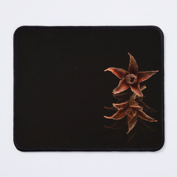 Item preview, Minimal Botanical Still Life with Seed Pod designed and sold by Goiko7Margarita.