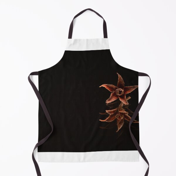 Item preview, Minimal Botanical Still Life with Seed Pod designed and sold by Goiko7Margarita.