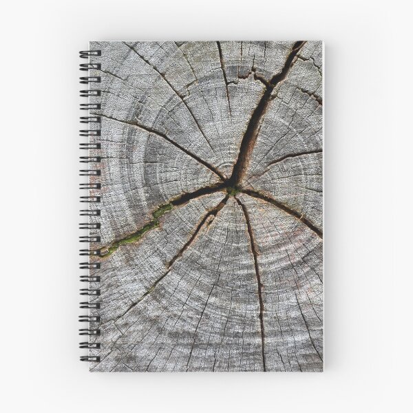 Item preview, Tree Trunk (highest resolution and quality) designed and sold by Pete Klimek.