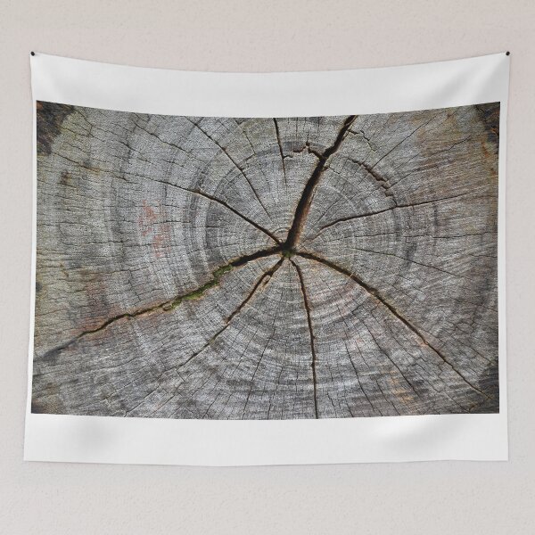 Item preview, Tree Trunk (highest resolution and quality) designed and sold by Pete Klimek.