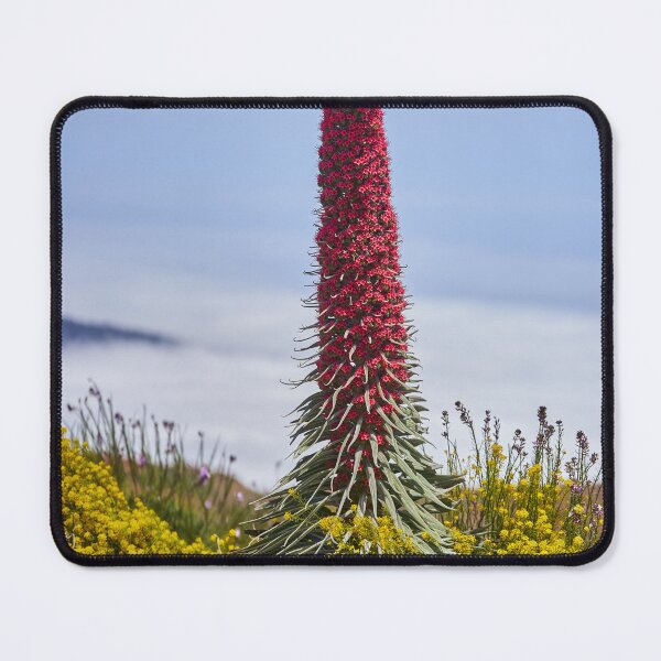 Item preview, Tajinaste flower and cloud inversion designed and sold by Imagerisium.