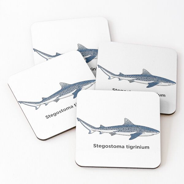 Item preview, Zebra Shark Anatomy – Stegostoma Tigrinum Educational Art designed and sold by KivaroArt.