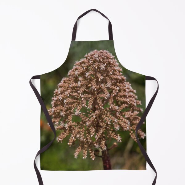 Item preview, Aeonium flower in full bloom designed and sold by Imagerisium.