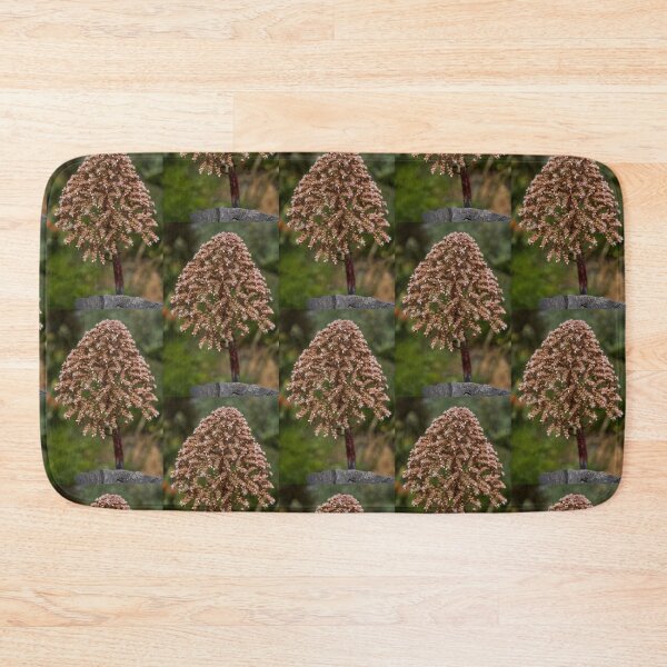 Item preview, Aeonium flower in full bloom designed and sold by Imagerisium.