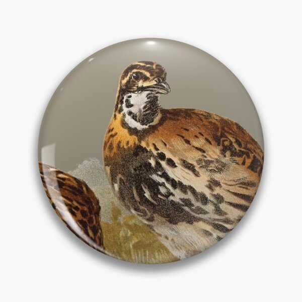 Item preview, vintage brown quails designed and sold by okapia concolor.