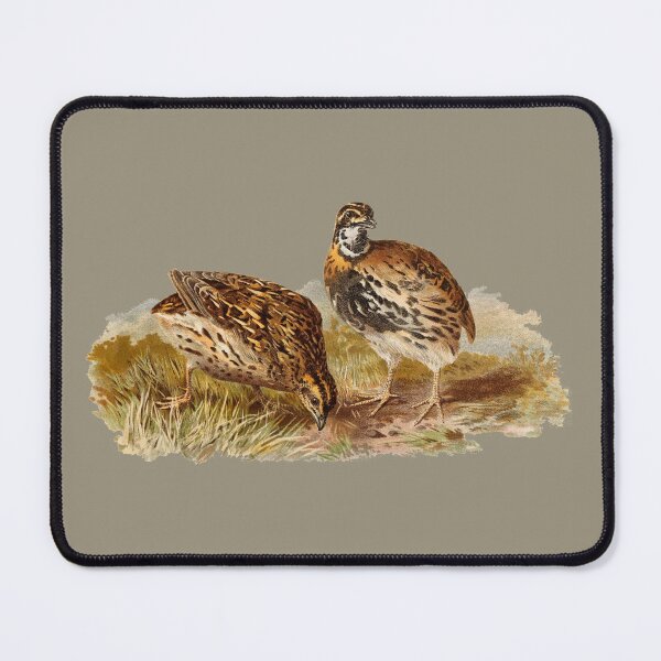 Item preview, vintage brown quails designed and sold by okapia concolor.