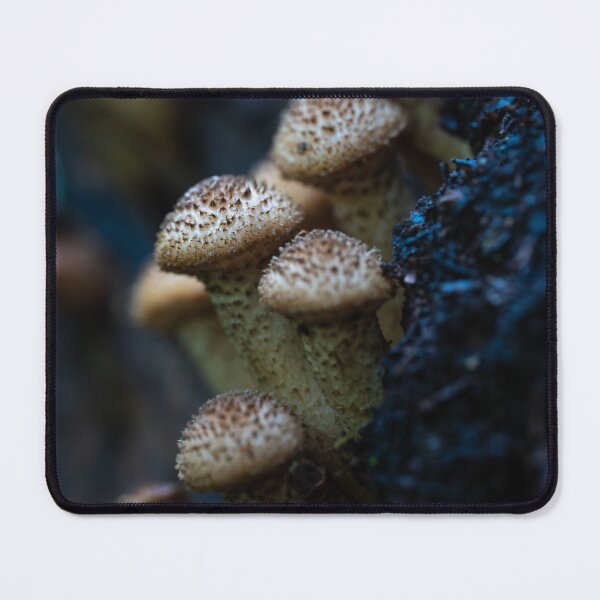 Item preview, Honey fungus cluster on wood designed and sold by Imagerisium.