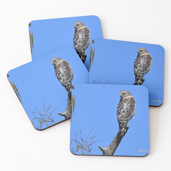 Item preview, Checking six  designed and sold by Glennphotos.