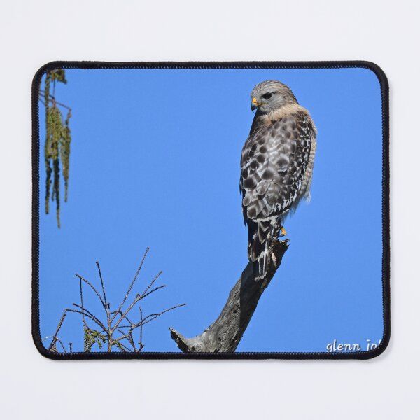 Item preview, Checking six  designed and sold by Glennphotos.