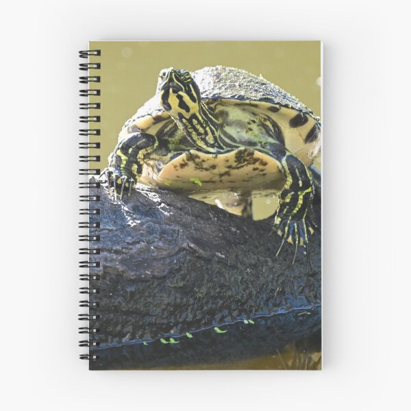 Item preview, Sunbathing  designed and sold by Glennphotos.