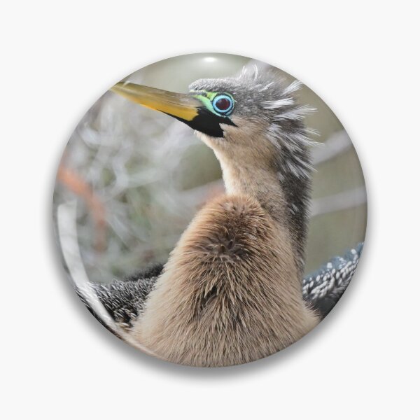 Item preview, Anhinga Eyes  designed and sold by Glennphotos.