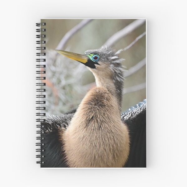 Item preview, Anhinga Eyes  designed and sold by Glennphotos.